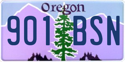 OR license plate 901BSN