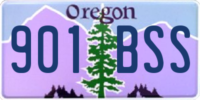 OR license plate 901BSS