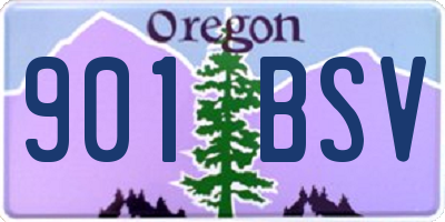 OR license plate 901BSV