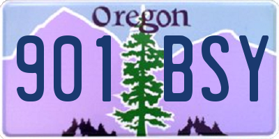 OR license plate 901BSY
