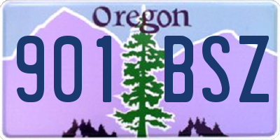 OR license plate 901BSZ