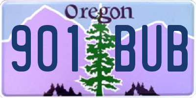 OR license plate 901BUB