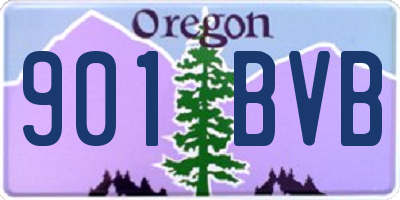 OR license plate 901BVB