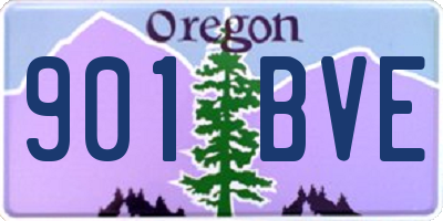OR license plate 901BVE