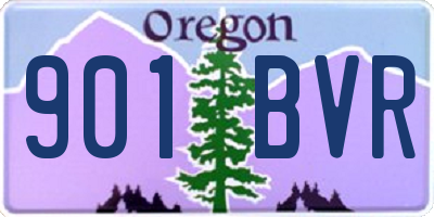 OR license plate 901BVR