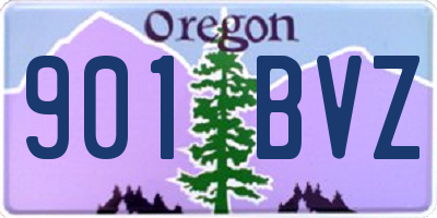 OR license plate 901BVZ
