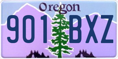 OR license plate 901BXZ