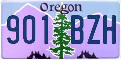 OR license plate 901BZH