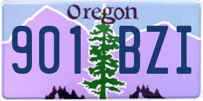 OR license plate 901BZI