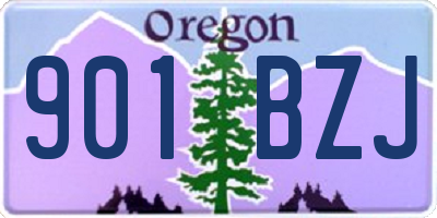 OR license plate 901BZJ