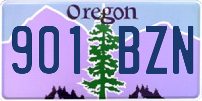 OR license plate 901BZN