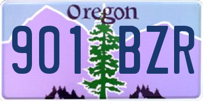 OR license plate 901BZR