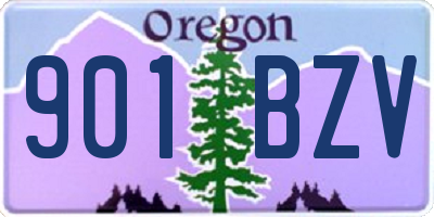 OR license plate 901BZV