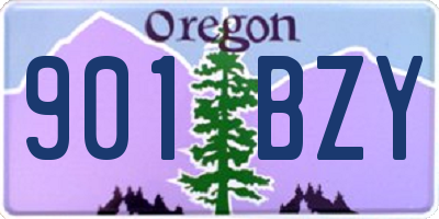 OR license plate 901BZY