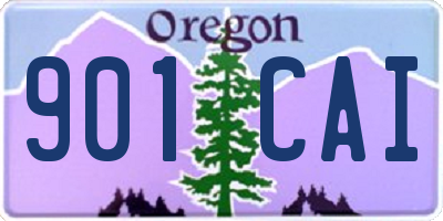 OR license plate 901CAI