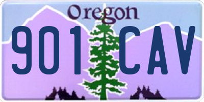 OR license plate 901CAV