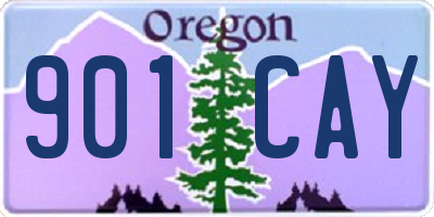 OR license plate 901CAY