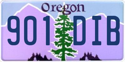 OR license plate 901DIB