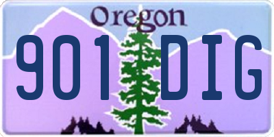 OR license plate 901DIG