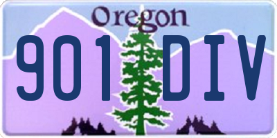 OR license plate 901DIV