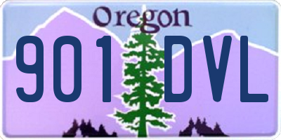 OR license plate 901DVL
