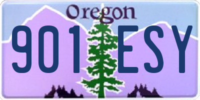 OR license plate 901ESY