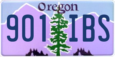 OR license plate 901IBS