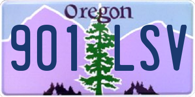 OR license plate 901LSV