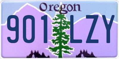 OR license plate 901LZY