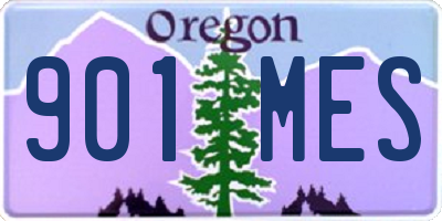 OR license plate 901MES