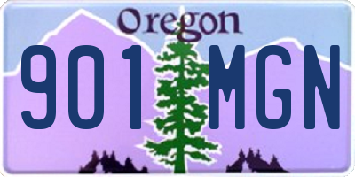 OR license plate 901MGN