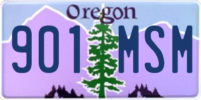 OR license plate 901MSM