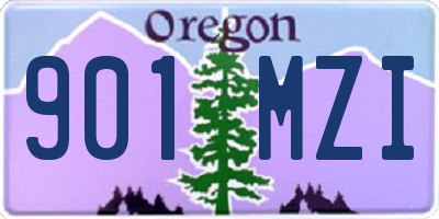 OR license plate 901MZI
