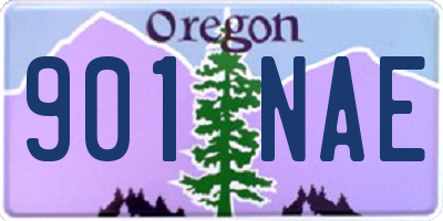 OR license plate 901NAE