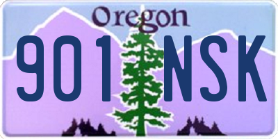 OR license plate 901NSK