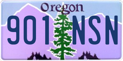 OR license plate 901NSN