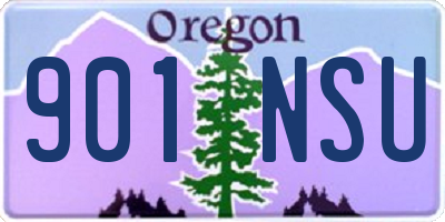 OR license plate 901NSU