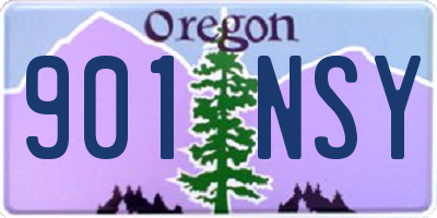 OR license plate 901NSY