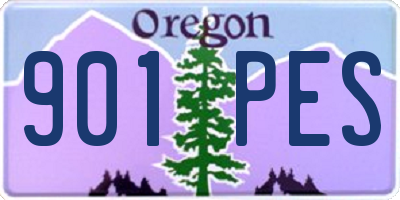 OR license plate 901PES