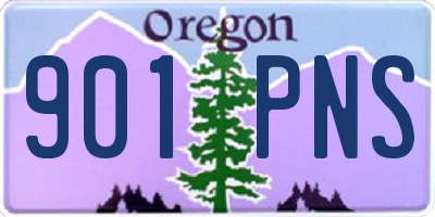 OR license plate 901PNS