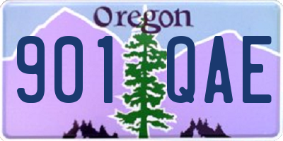 OR license plate 901QAE