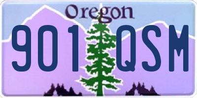 OR license plate 901QSM