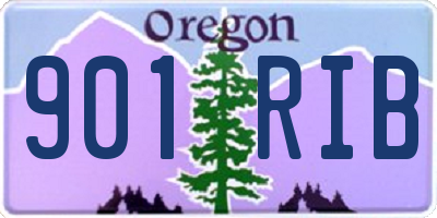 OR license plate 901RIB