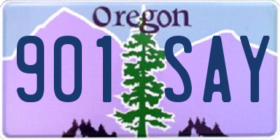 OR license plate 901SAY