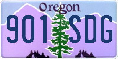 OR license plate 901SDG