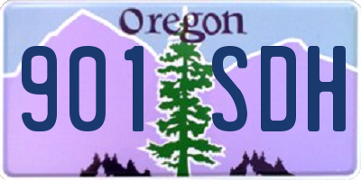 OR license plate 901SDH