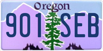 OR license plate 901SEB