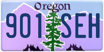 OR license plate 901SEH