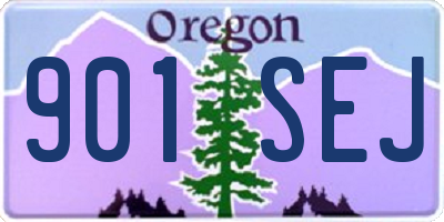 OR license plate 901SEJ