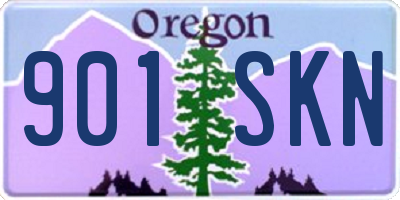 OR license plate 901SKN